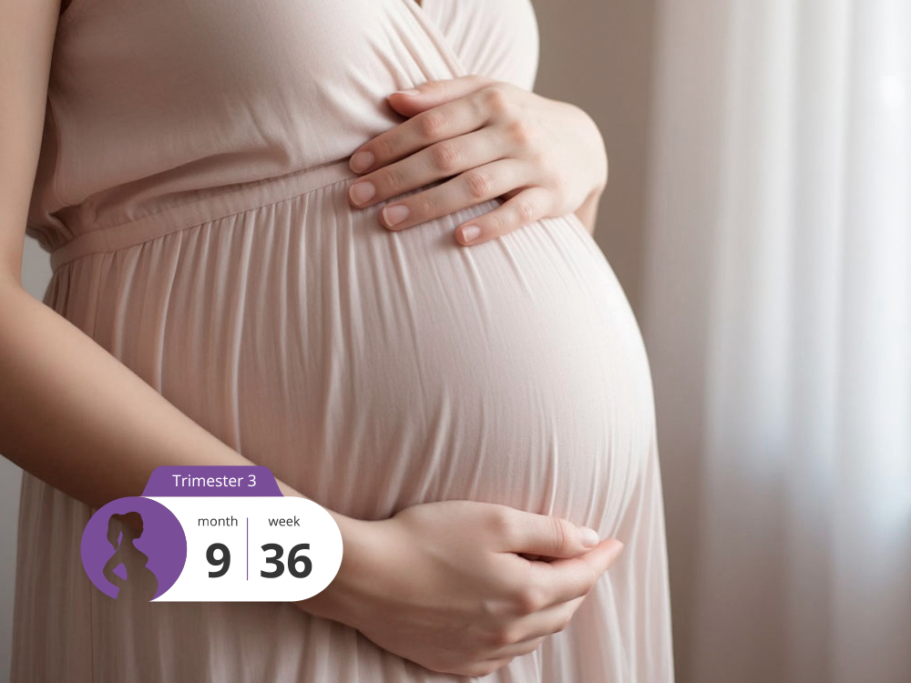 What to Expect at 36 Weeks of Pregnancy: Preparing for Labor and Self-Care