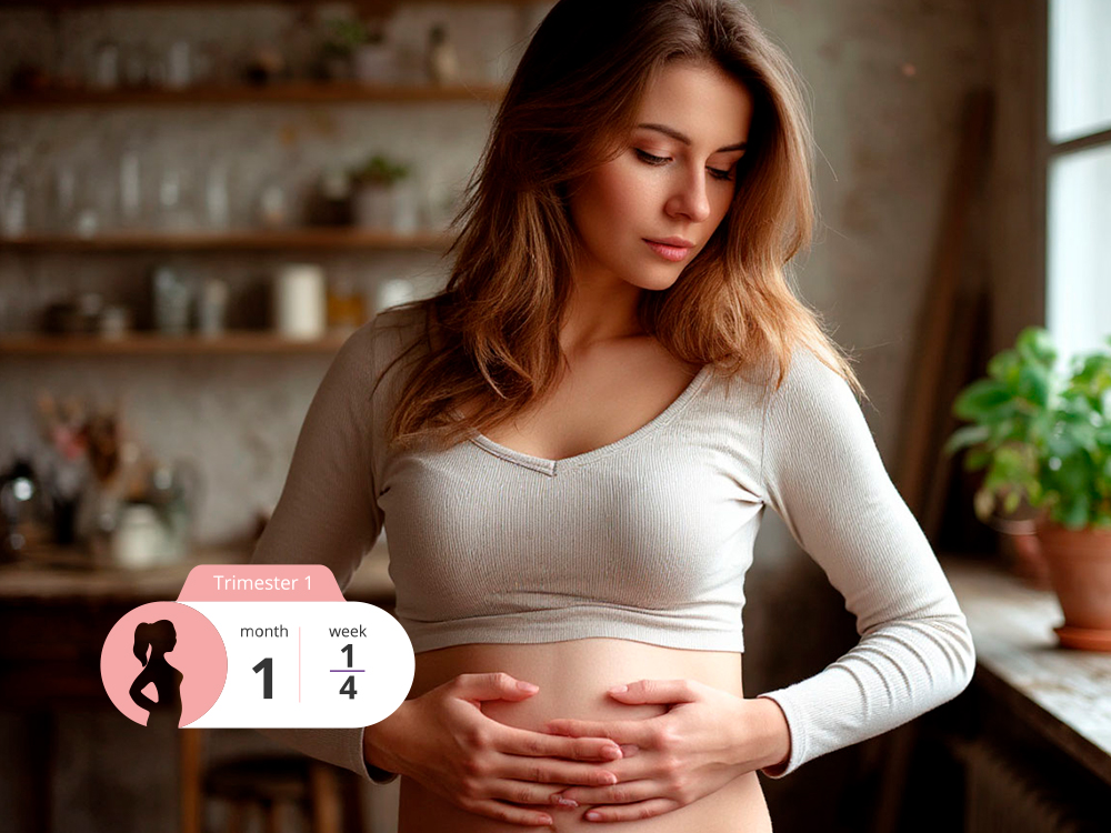 First Month of Pregnancy: What Happens in the Very Beginning