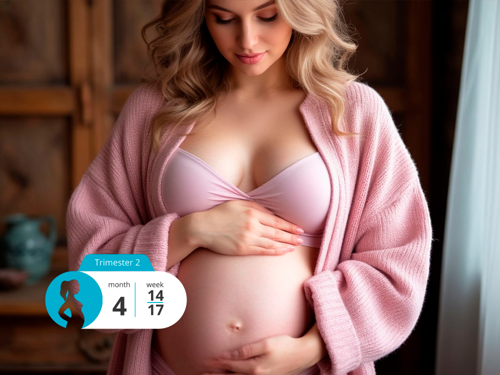 Fourth Month of Pregnancy: Entering the Second Trimester