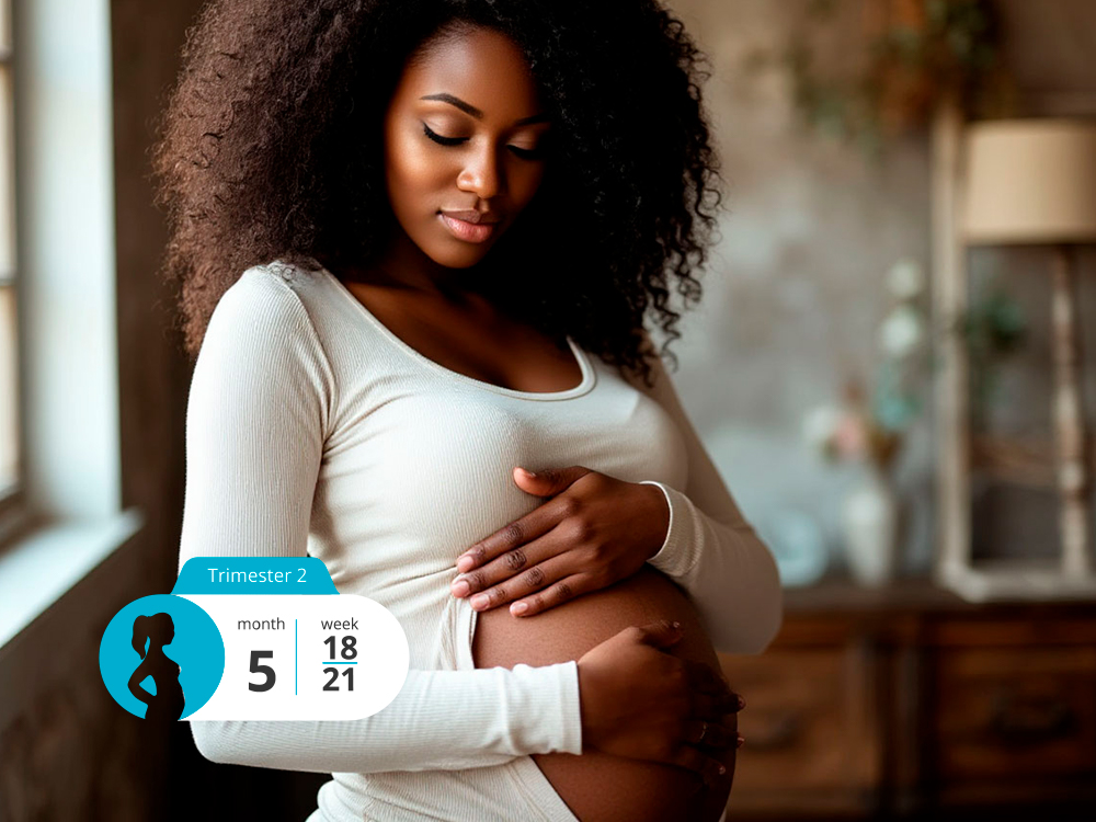 Fifth Month of Pregnancy: Midpoint of the Journey